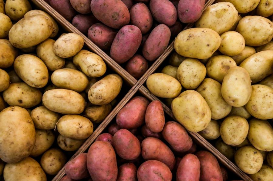 Otrā maize – kartupelis