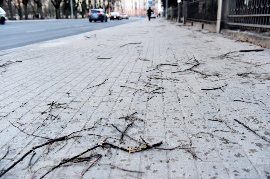 Toms Bricis: Nākamnedēļ gaidāms pamatīgs aukstuma vilnis ar salnām un sniegu