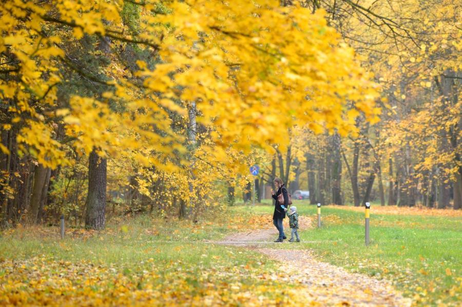 Nākamnedēļ turpināsies silts rudens