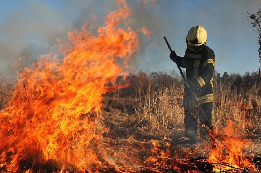 Atsākusies kūlas dedzināšana... Cik ugunsgrēki dzēsti vakar?