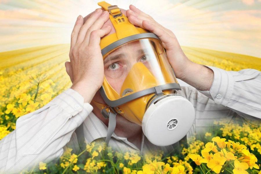 Daba zied!... Un atkal sākas neciešamā alerģija