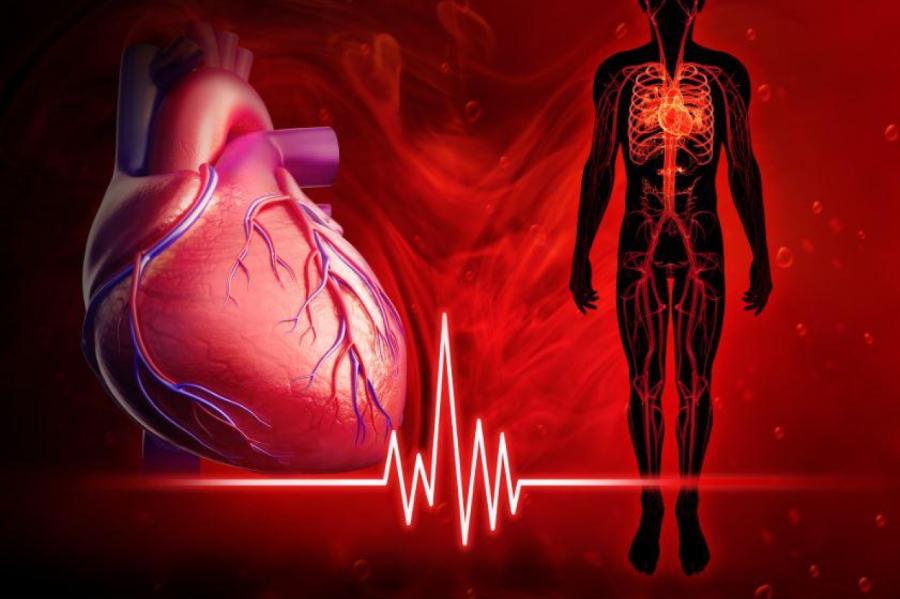 Lietuvā sāk ražot medicīniskās aproces, kas palīdzēs sirds slimniekiem