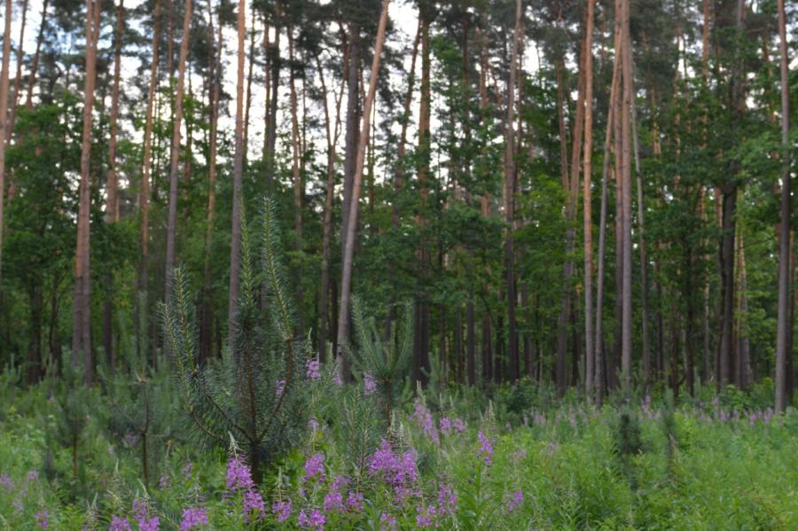 TM: 153,5 tūkstoši zemesgabalu Latvijā nav reģistrēti zemesgrāmatā