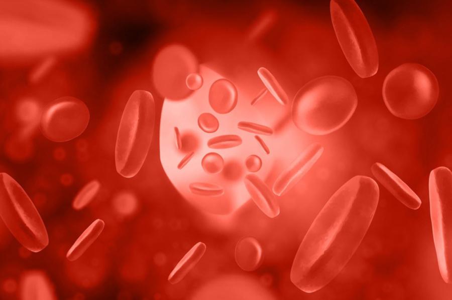 Latvijas vēža pacienti saņēma jaunu cerību – molekulāro diagnostiku (+VIDEO)