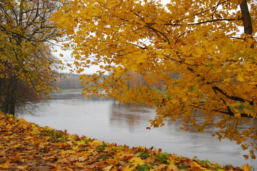 Izzini dzimto zemi garajā nedēļas nogalē: idejas Latvijas apceļošanai (+VIDEO)