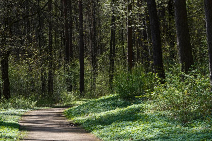 Slīteres Nacionālajā parkā atklāta jauna sēņu suga