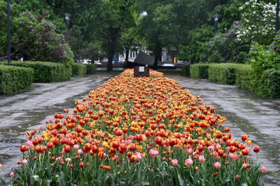 LNB izdevusi grāmatu par Rīgas parkiem cauri dažādiem laikiem