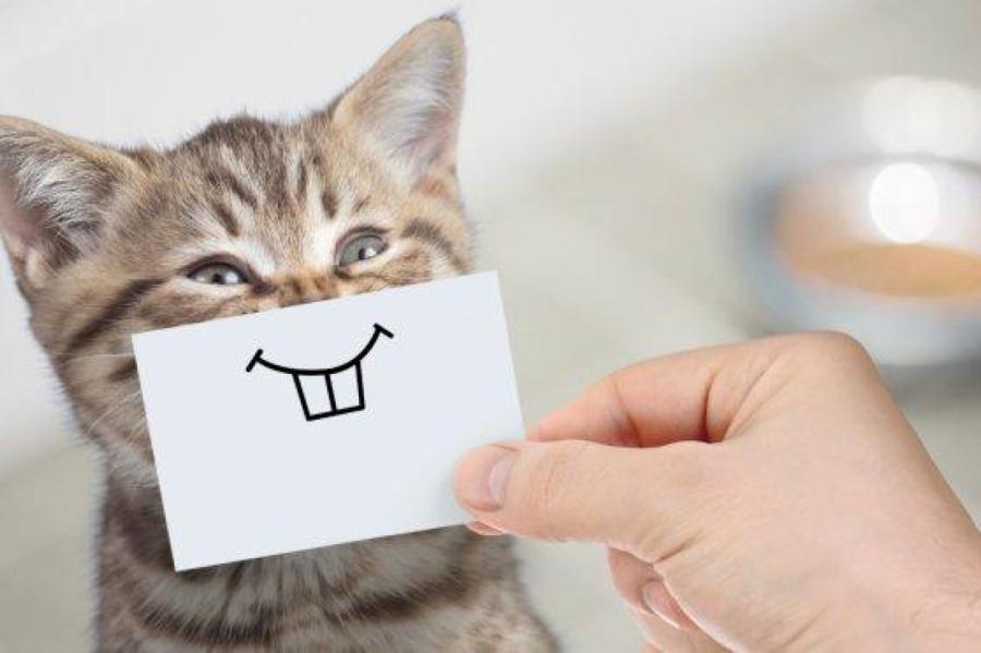 Latvijā 25% iedzīvotāju darba devējs rūpējas par viņu emocionālo veselību