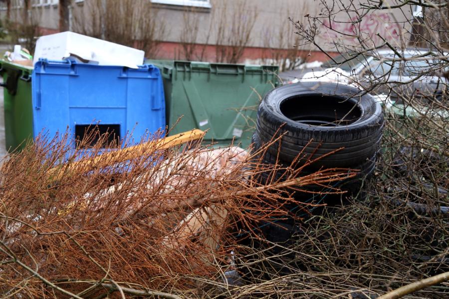 Siltumenerģijā pārstrādās vairāk nekā 16 000 izvesto svētku eglīšu