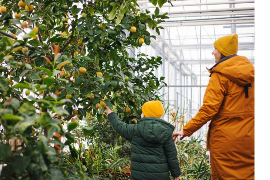 Jūrmalā tiks organizēta saturīga programma skolēnu brīvlaikam (+VIDEO)
