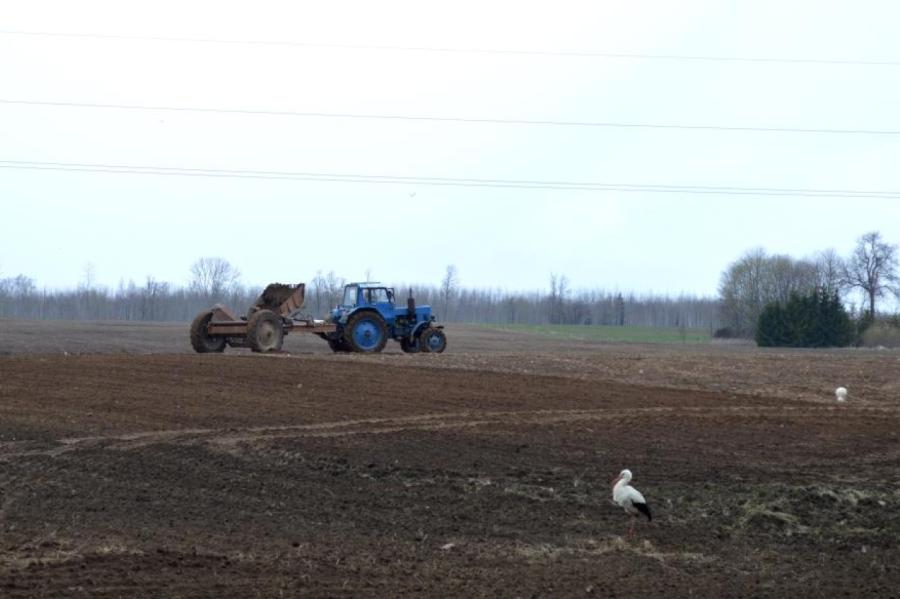 Latvijas lauksaimniecības nozari veido 64% mazo saimniecību