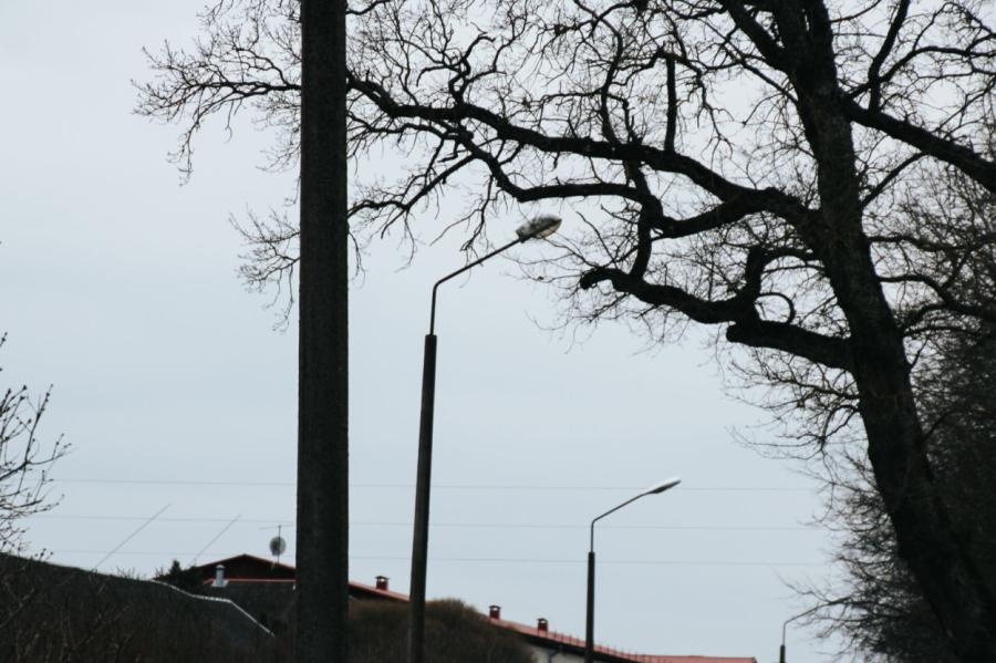 Valmieras novada Burtniekos tiks uzstādīts viedais apgaismojums (+VIDEO)
