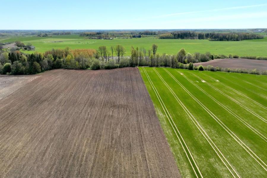 10.aprīļa nacionālais siltuma rekords pārspēts par 6,7 grādiem