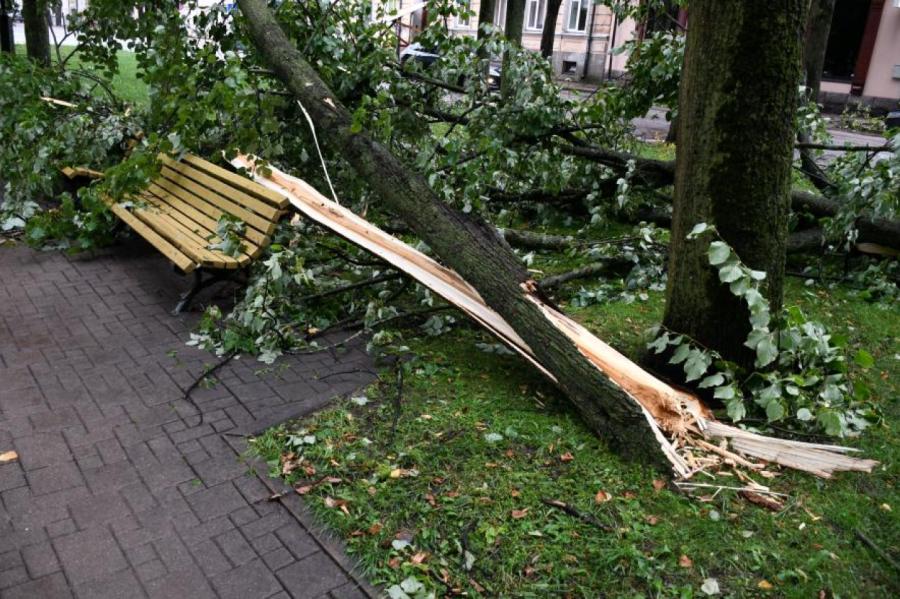 Pagājušajā naktī stiprais vējš nav radījis būtiskus postījumus Rīgā