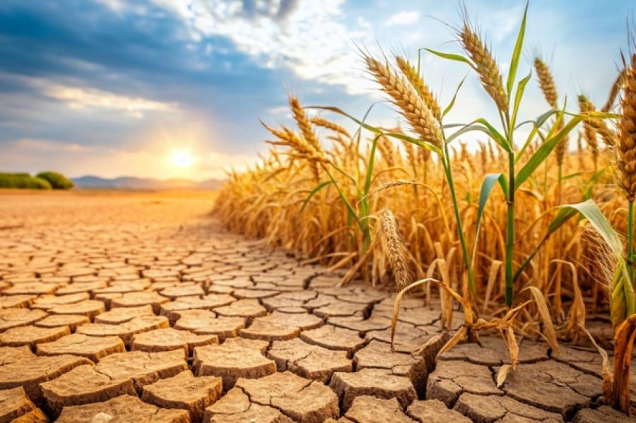 Šogad pirmo reizi globālās temperatūras pieaugums varētu pārsniegt 1,5 grādus