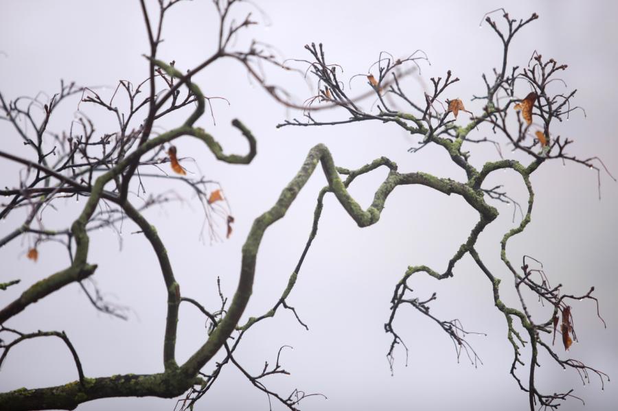 Trešdien Latvijā kļūs siltāks