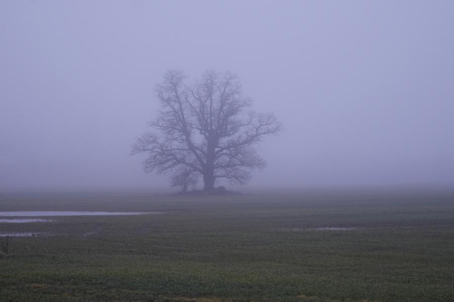 Nākamnedēļ laiks kļūs vēsāks