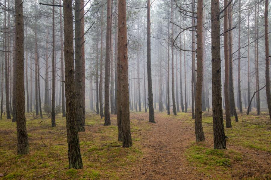 Otrdien Latvijā saglabāsies apmācies laiks