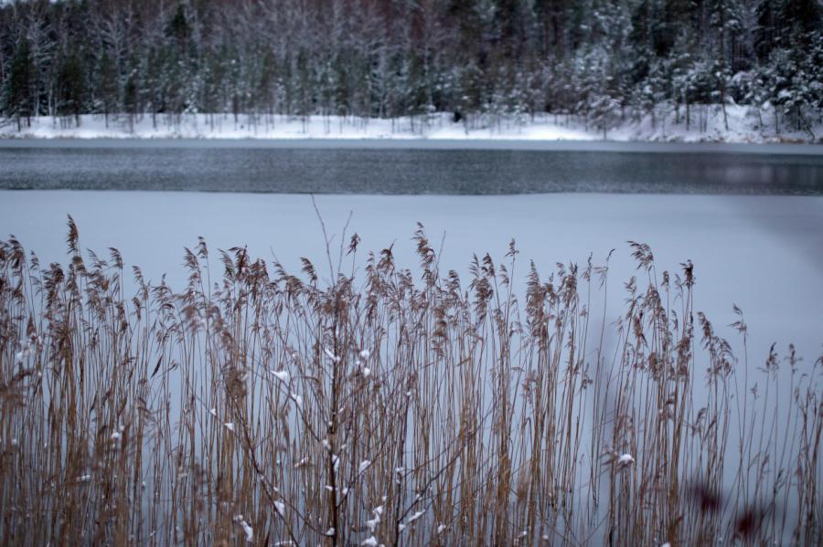 Ceturtdien turpināsies nokrišņi, Kurzemē spīdēs saule