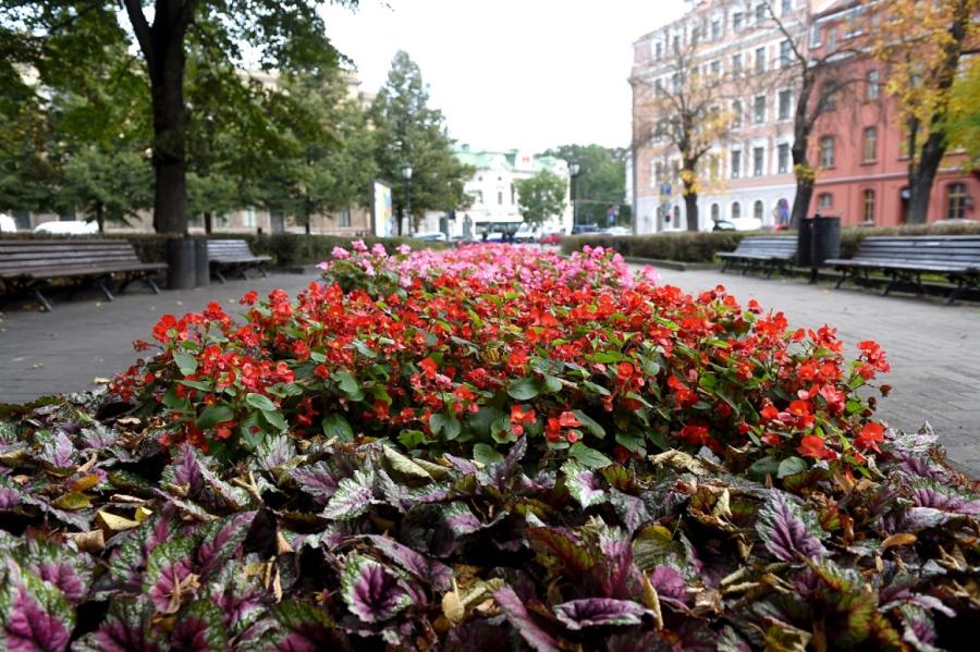 Izsludināts metu konkurss par Neatkarības laukuma attīstību Rīgā