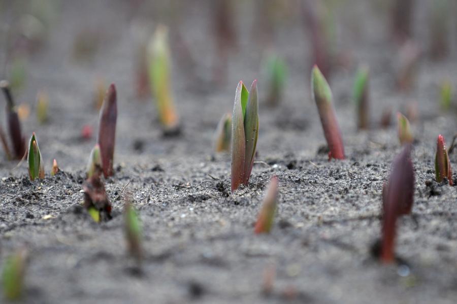 Trešdien Latvijā gaiss iesils līdz +5..+10 grādiem