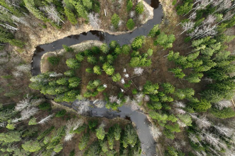 Marta sākums Latvijā bijis 5,7 grādus siltāks nekā ierasts