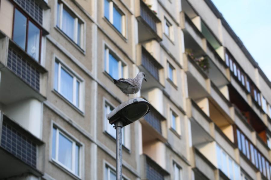 Latvijas mājokļos 80% no kopējā enerģijas gala patēriņa veido siltumenerģija