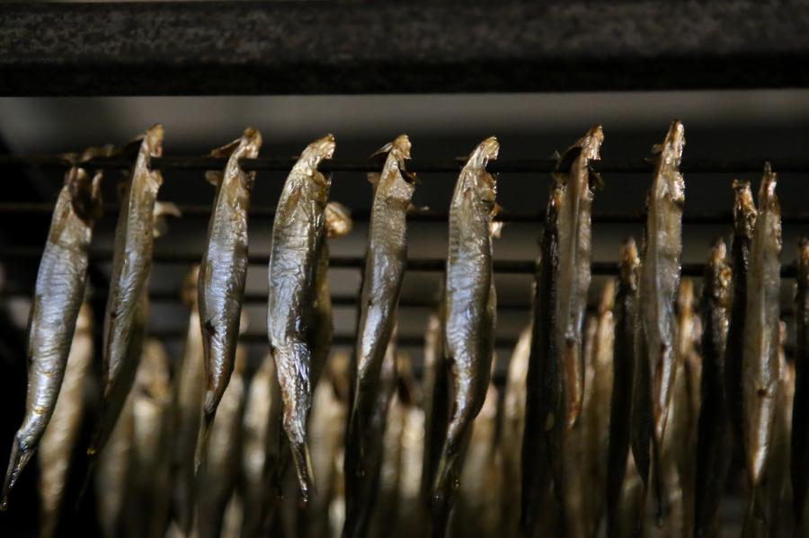 Latvijas Zivrūpnieku savienība: Zivju produkcija kļūs tikai dārgāka