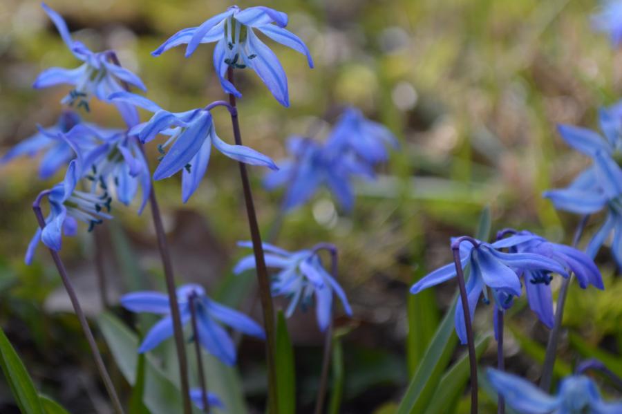 Nedēļas nogale Latvijā būs silta