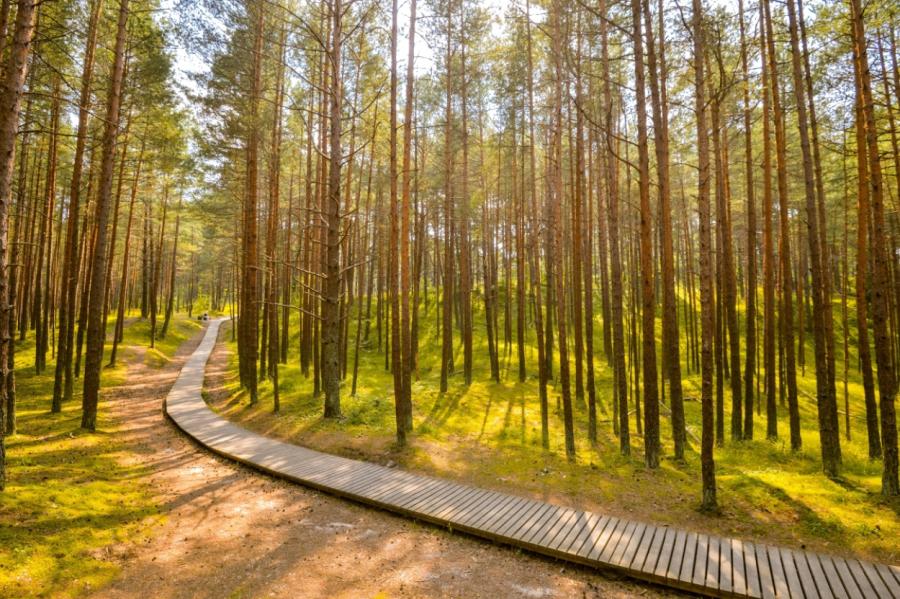 Jūrmalā apmeklētājiem atkal pieejama Ragakāpas dabas taka (+VIDEO)