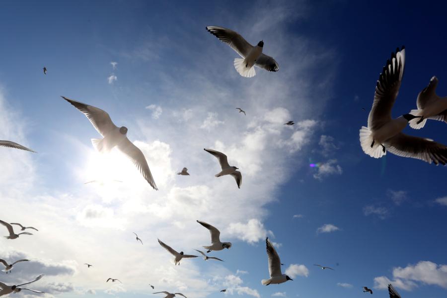 Ceturtdien Latvijā gaidāms saulains un silts laiks