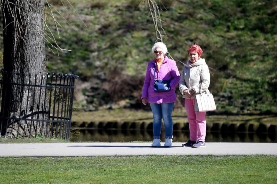 Ceturtdien saule gaisu sasildīs līdz +12 grādiem