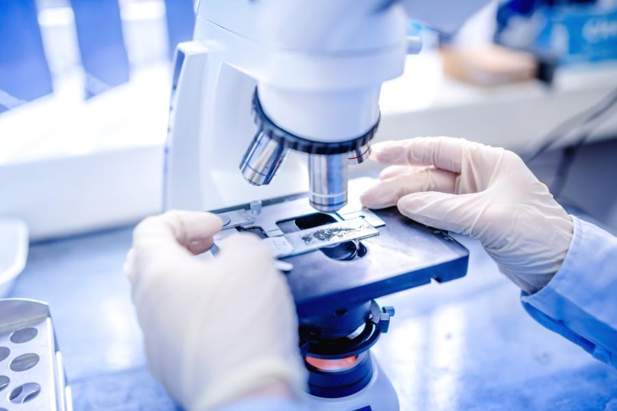 SPKC sliecas domāt, ka inficēšanos ar E.coli veicinājis kāds pārtikas produkts