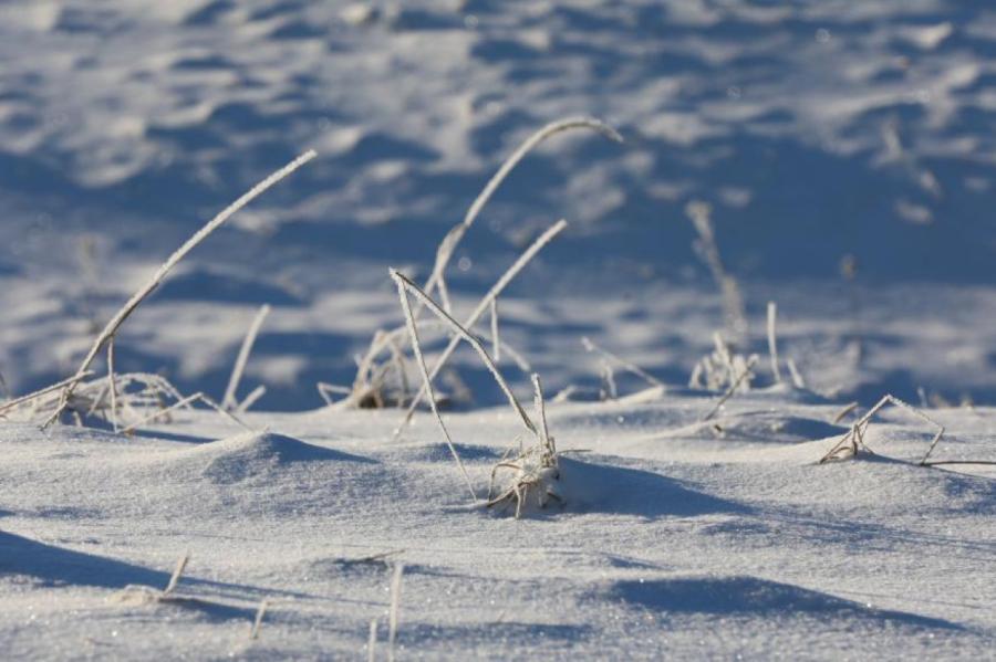 Pēc aukstas nakts pirmdien gaidāma vēsa diena
