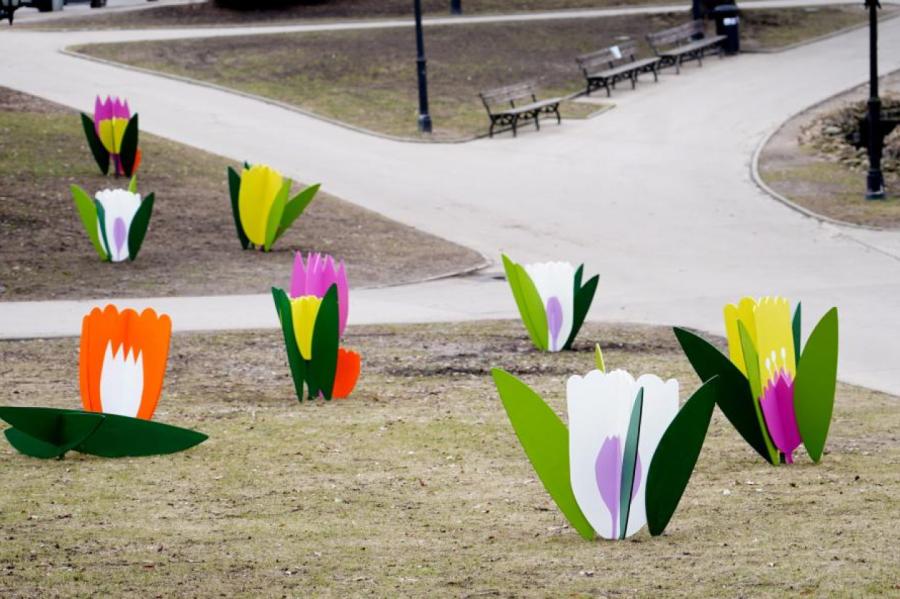 Svētdien gaiss varētu iesilt līdz +16 grādiem