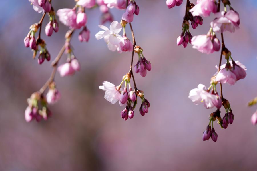 Piektdiena un sestdiena būs mēneša siltākās dienas