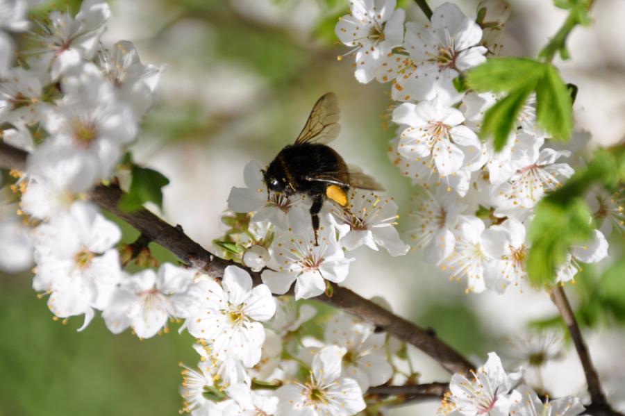 Nākamnedēļ gaidāms vēsāks laiks