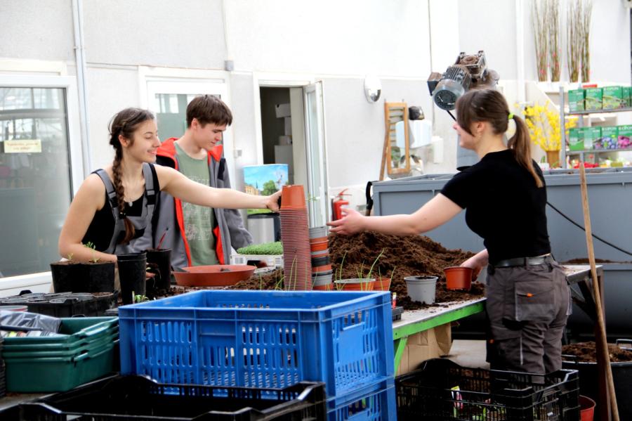 Kā jaunietim soli pa solim sagatavoties darba tirgum: konsultē eksperte (+VIDEO)