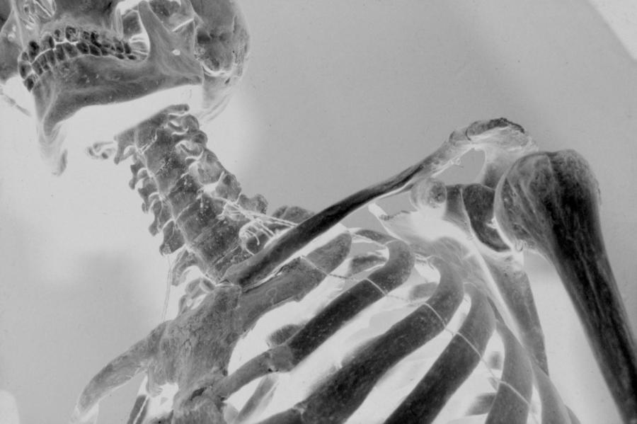 Maijā Rīgu gaidīs iespaidīga eksperimentālā kino skate (+VIDEO)