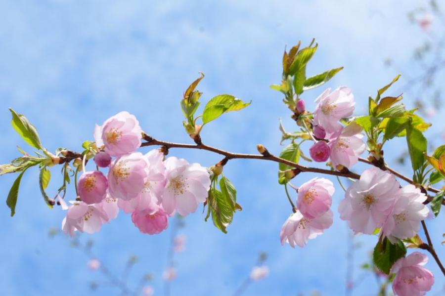 Nākamnedēļ kļūs nedaudz siltāks