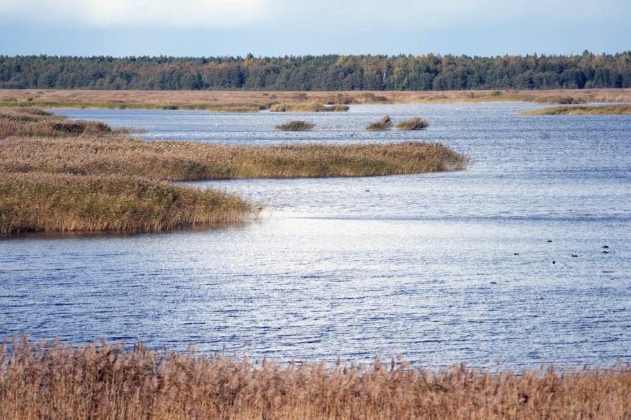 Makšķerēšanai Kaņiera ezerā nevajadzēs papildu licences