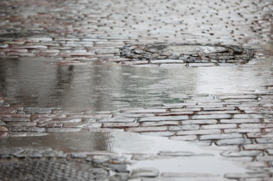 Rīgā testēs dabā balstītus lietusūdens attīrīšanas risinājumus