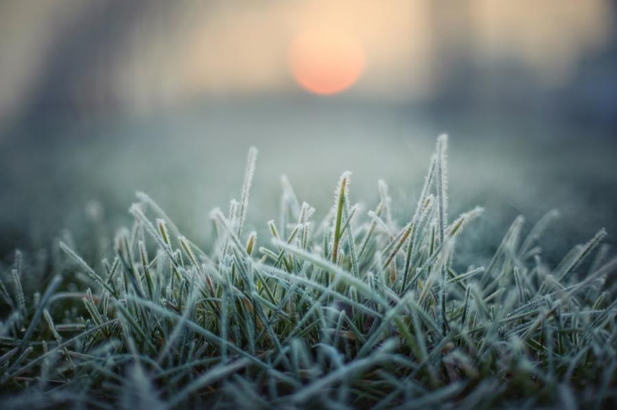 Naktī vietām iespējama salna, bet gaidāmā diena būs lietaina un vējaina