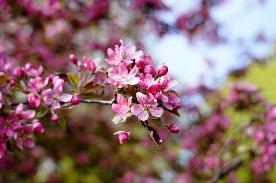 Sākas gada gaišākais ceturksnis