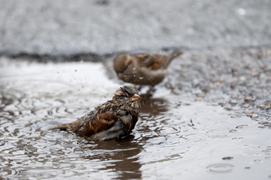 Sestdien gaidāms nedaudz saulaināks un siltāks laiks