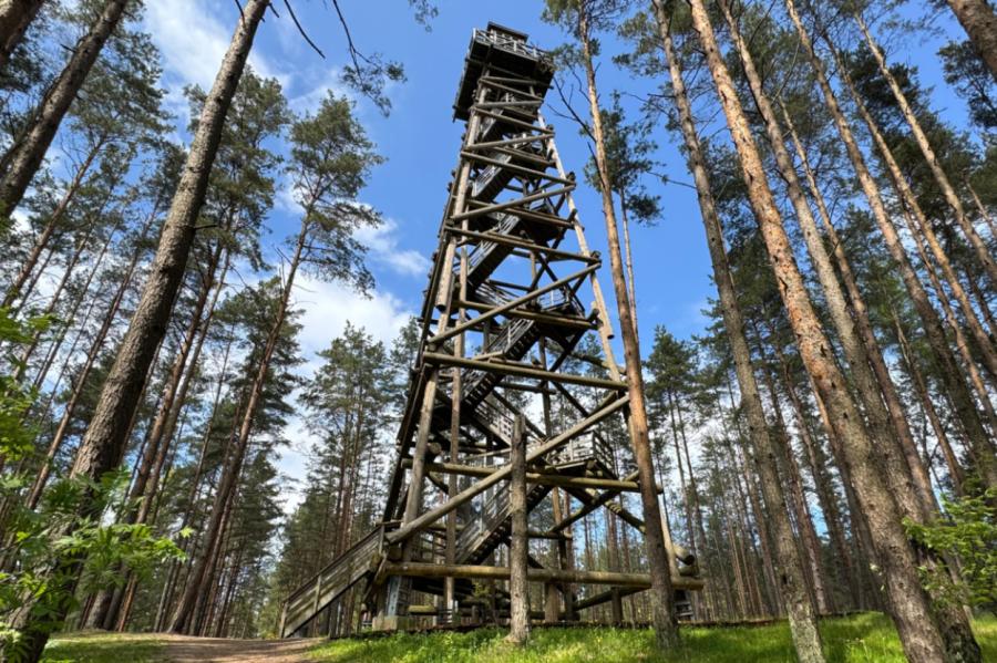 Nākamnedēļ nebūs pieejams Bumbu kalniņa uguns novērošanas tornis