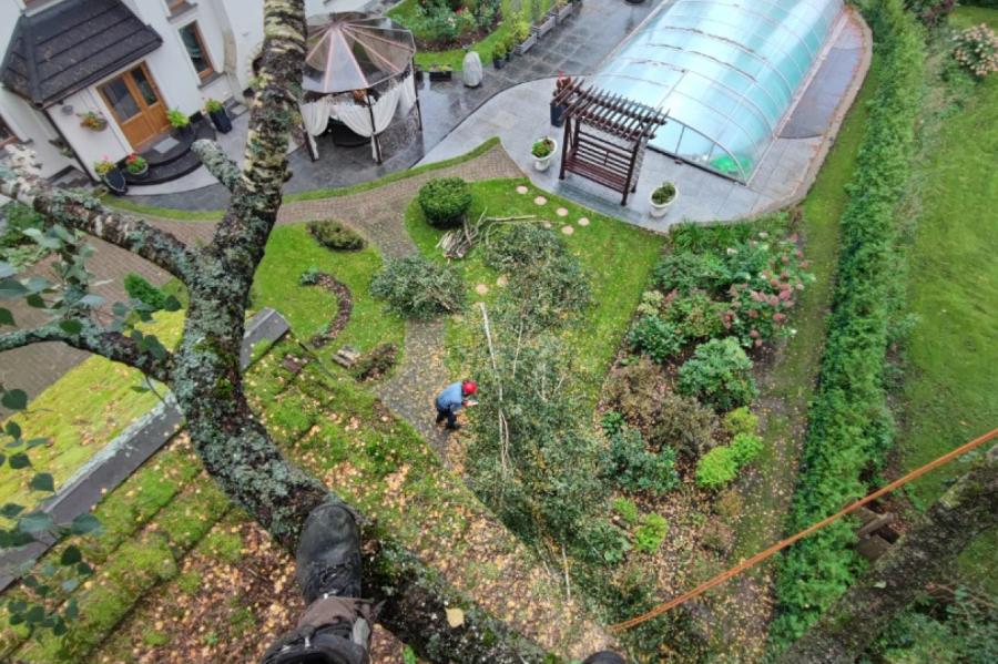 Šodien un rīt koku kāpšanas meistarklases notiks Carnikavā (+VIDEO)