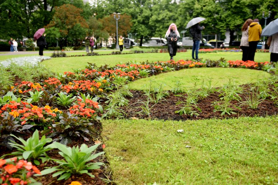 Ceturtdien Latvijā gaidāms lietus un brāzmains vējš