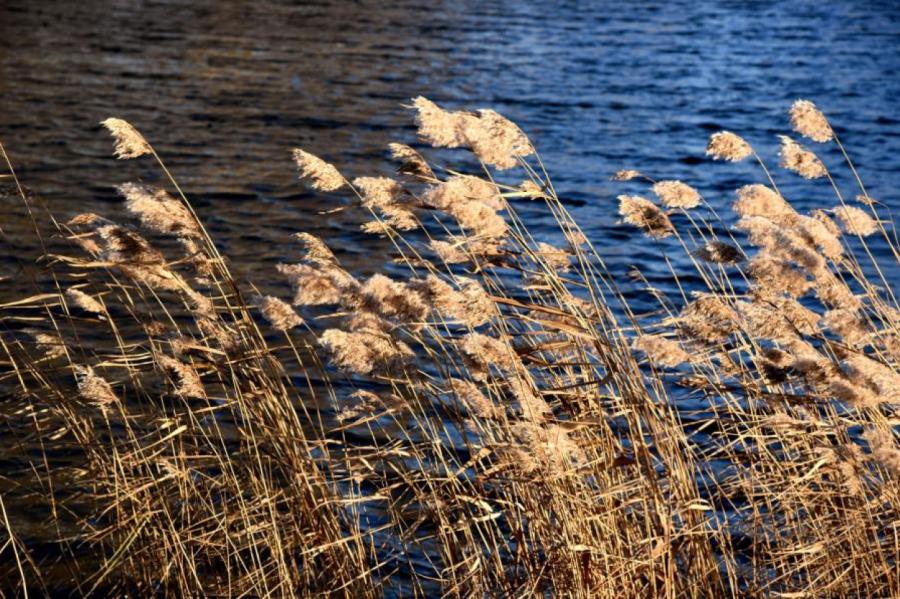 Bābelīša ezerā ūdens temperatūra sasniegusi plus 19 grādus