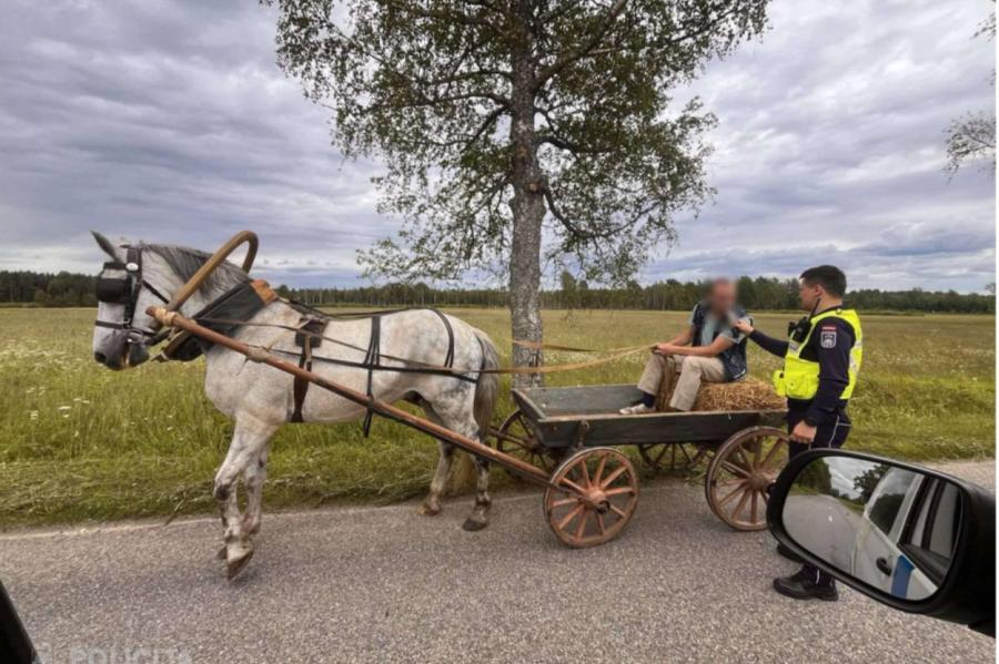 Valsts policija pārbaudīja uz alkoholu pat zirgu pajūga vadītāju